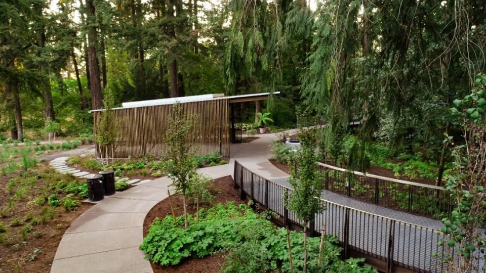 PORTLAND THE BOTANICAL GARDEN REDESIGNED BY LAND MORPHOLOGY