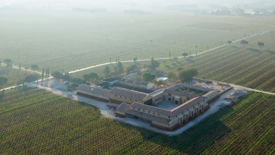 FRANCIA CASA VINICOLA DELLA CÔTES DU RHÔNE