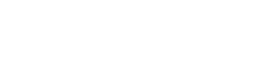 logo zazzeri w